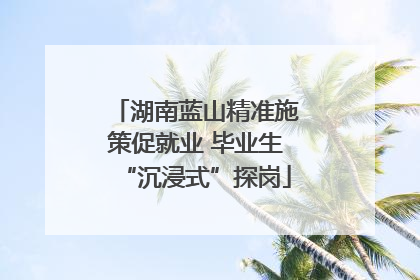 湖南蓝山精准施策促就业 毕业生“沉浸式”探岗