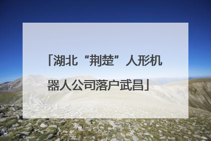 湖北“荆楚”人形机器人公司落户武昌