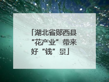 湖北省郧西县“花产业”带来好“钱”景