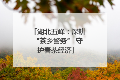 湖北五峰：深耕“茶乡警务” 守护春茶经济