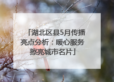 湖北区县5月传播亮点分析：暖心服务擦亮城市名片