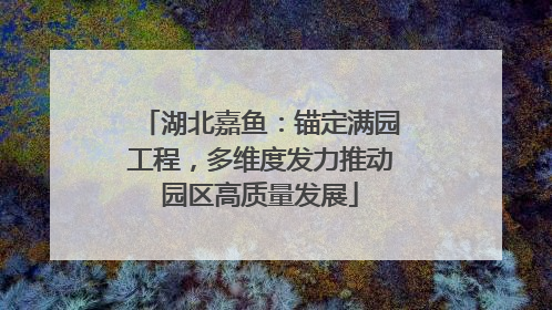 湖北嘉鱼：锚定满园工程，多维度发力推动园区高质量发展
