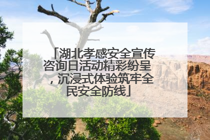 湖北孝感安全宣传咨询日活动精彩纷呈，沉浸式体验筑牢全民安全防线