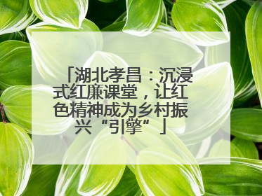 湖北孝昌：沉浸式红廉课堂，让红色精神成为乡村振兴“引擎”