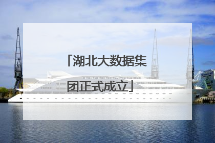 湖北大数据集团正式成立
