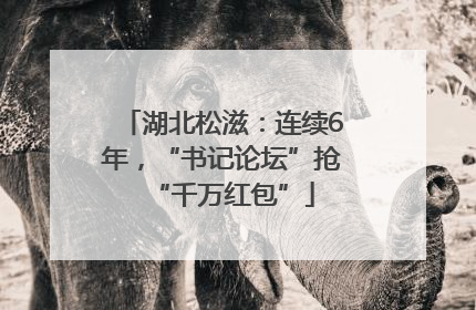 湖北松滋：连续6年，“书记论坛”抢“千万红包”
