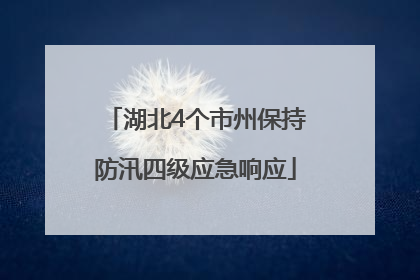 湖北4个市州保持防汛四级应急响应