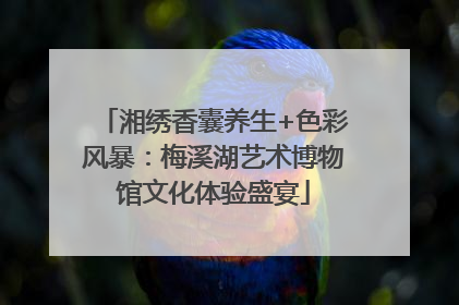湘绣香囊养生+色彩风暴：梅溪湖艺术博物馆文化体验盛宴