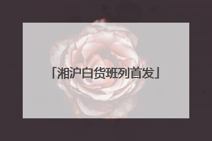 湘沪白货班列首发