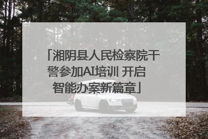 湘阴县人民检察院干警参加AI培训 开启智能办案新篇章