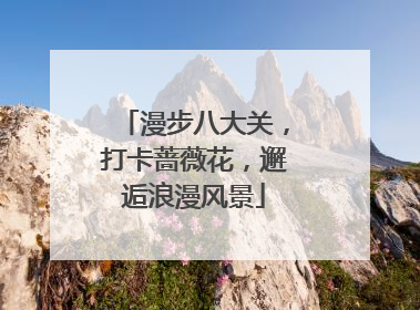 漫步八大关，打卡蔷薇花，邂逅浪漫风景