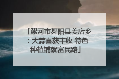 漯河市舞阳县姜店乡：大蒜喜获丰收 特色种植铺就富民路