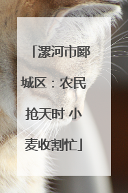 漯河市郾城区：农民抢天时 小麦收割忙