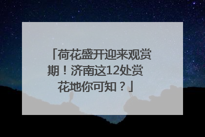 荷花盛开迎来观赏期！济南这12处赏花地你可知？