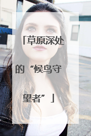 草原深处的“候鸟守望者”