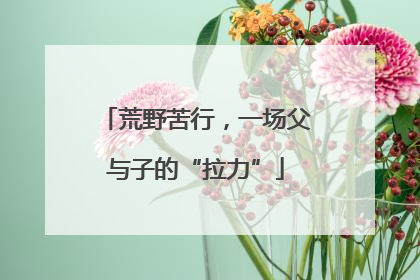 荒野苦行，一场父与子的“拉力”