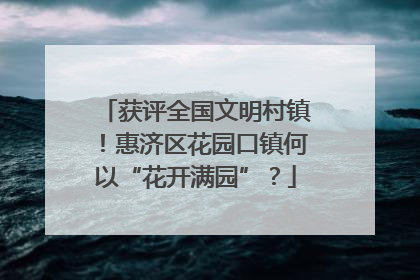 获评全国文明村镇！惠济区花园口镇何以“花开满园”？