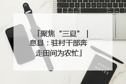 聚焦“三夏”｜息县：驻村干部奔走田间为农忙