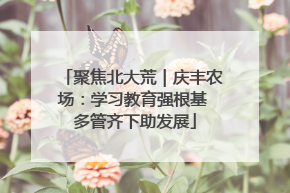 聚焦北大荒｜庆丰农场：学习教育强根基 多管齐下助发展