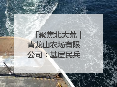 聚焦北大荒｜青龙山农场有限公司：基层民兵参与农业环境综合治理显效