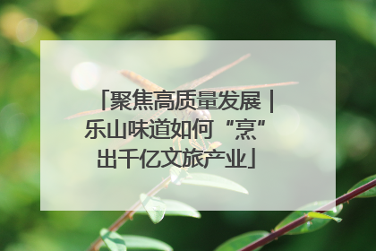 聚焦高质量发展｜乐山味道如何“烹”出千亿文旅产业