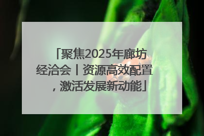 聚焦2025年廊坊经洽会丨资源高效配置，激活发展新动能