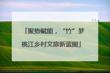 聚势赋能，“竹”梦桃江乡村文旅新蓝图
