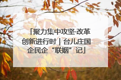 聚力集中攻坚·改革创新进行时｜台儿庄国企民企“联姻”记