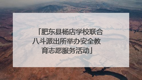肥东县杨店学校联合八斗派出所举办安全教育志愿服务活动