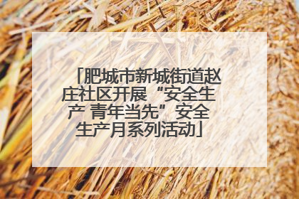 肥城市新城街道赵庄社区开展“安全生产 青年当先”安全生产月系列活动