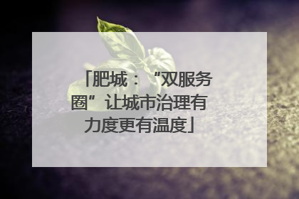 肥城：“双服务圈”让城市治理有力度更有温度