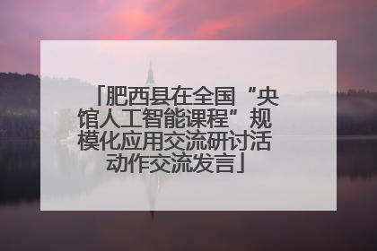 肥西县在全国“央馆人工智能课程”规模化应用交流研讨活动作交流发言