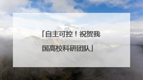 自主可控！祝贺我国高校科研团队