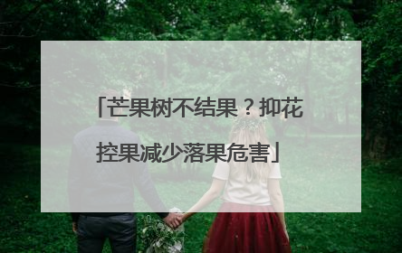 芒果树不结果？抑花控果减少落果危害