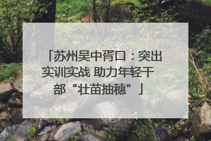 苏州吴中胥口：突出实训实战 助力年轻干部“壮苗抽穗”