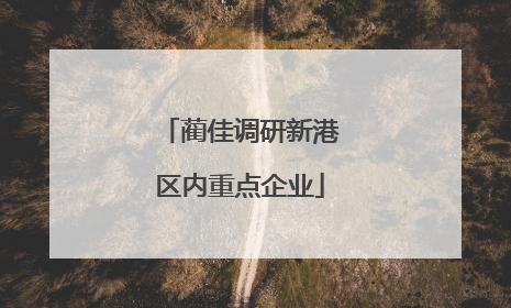 蔺佳调研新港区内重点企业