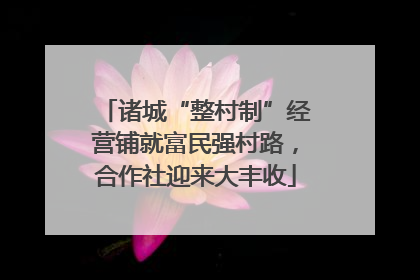诸城“整村制”经营铺就富民强村路，合作社迎来大丰收