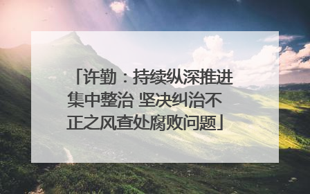 许勤：持续纵深推进集中整治 坚决纠治不正之风查处腐败问题