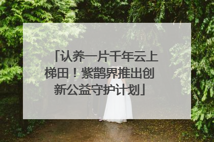 认养一片千年云上梯田！紫鹊界推出创新公益守护计划