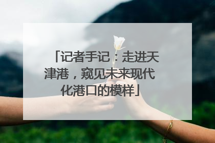 记者手记：走进天津港，窥见未来现代化港口的模样