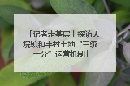 记者走基层丨探访大垸镇和丰村土地“三统一分”运营机制