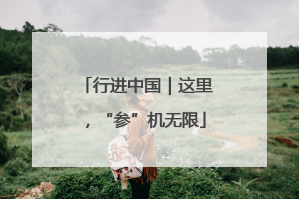 行进中国｜这里，“参”机无限