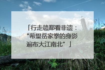 行走赣鄱看非遗：“希望岳家拳的身影遍布大江南北”