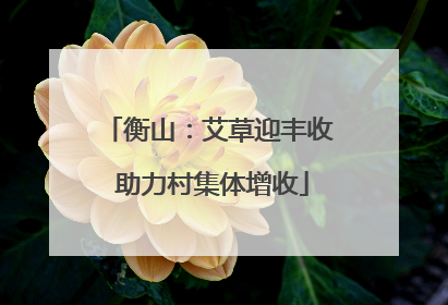 衡山：艾草迎丰收 助力村集体增收