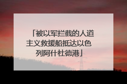 被以军拦截的人道主义救援船抵达以色列阿什杜德港