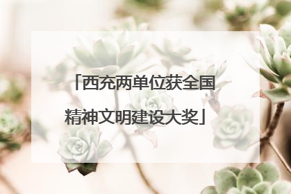西充两单位获全国精神文明建设大奖