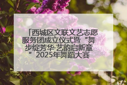西城区文联文艺志愿服务团成立仪式暨“舞步绽芳华·艺韵启新章”2025年舞蹈大赛展演圆满举办