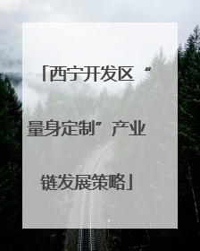 西宁开发区“量身定制”产业链发展策略