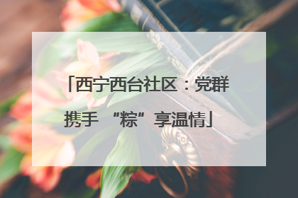 西宁西台社区：党群携手 “粽”享温情