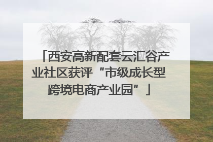 西安高新配套云汇谷产业社区获评“市级成长型跨境电商产业园”
